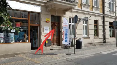 Freedom - Kursy Językowe